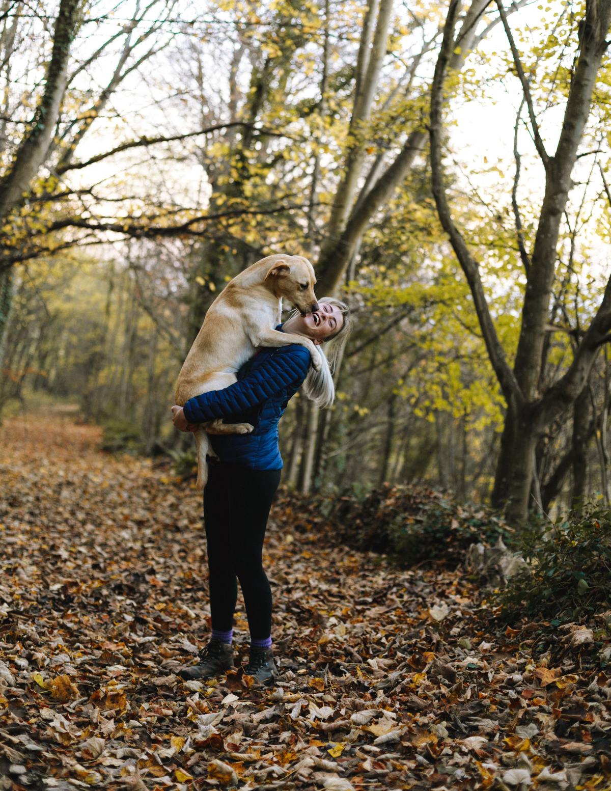 How Many Dogs Can You Own in Australia? Fuzzy Rescue